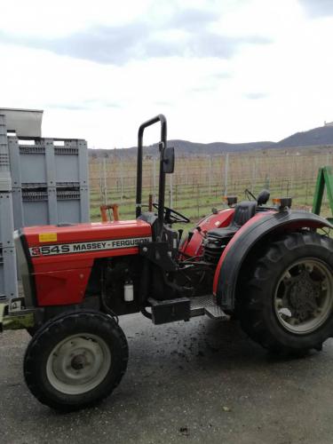 Massey Ferguson 354S